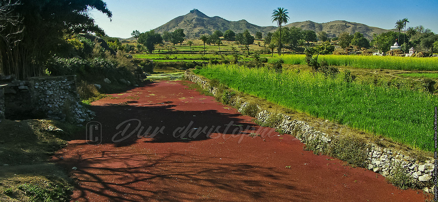 La rivière rouge - Route pour Ranakpur - 2006