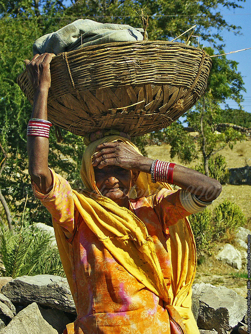 La femme au panier - Route pour Ranakpur - 2006