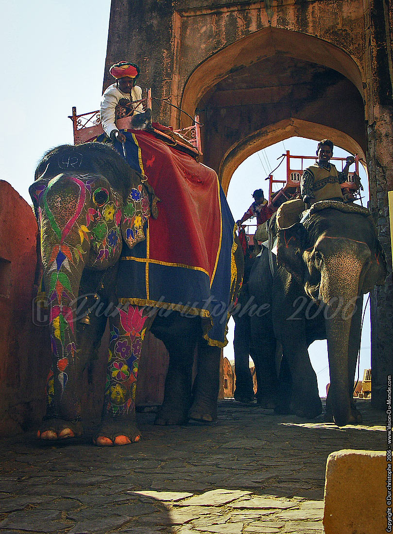 Les éléphants peints - Amber palace - 2006