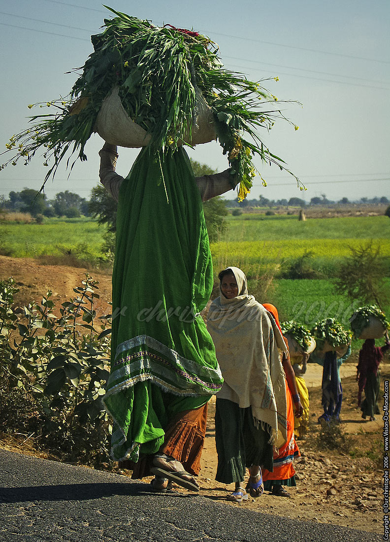 Femme travaillant dans les champs  - Sur la route - 2006