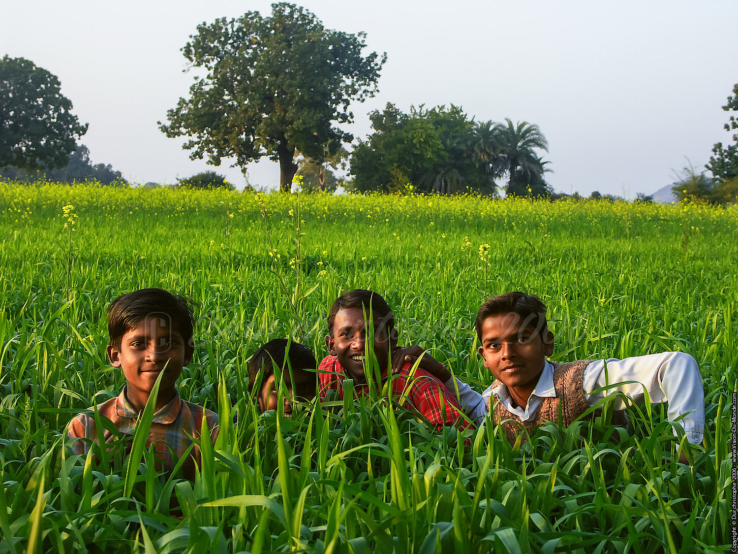 Les enfants dans les hautes herbes  - campagne - 2006