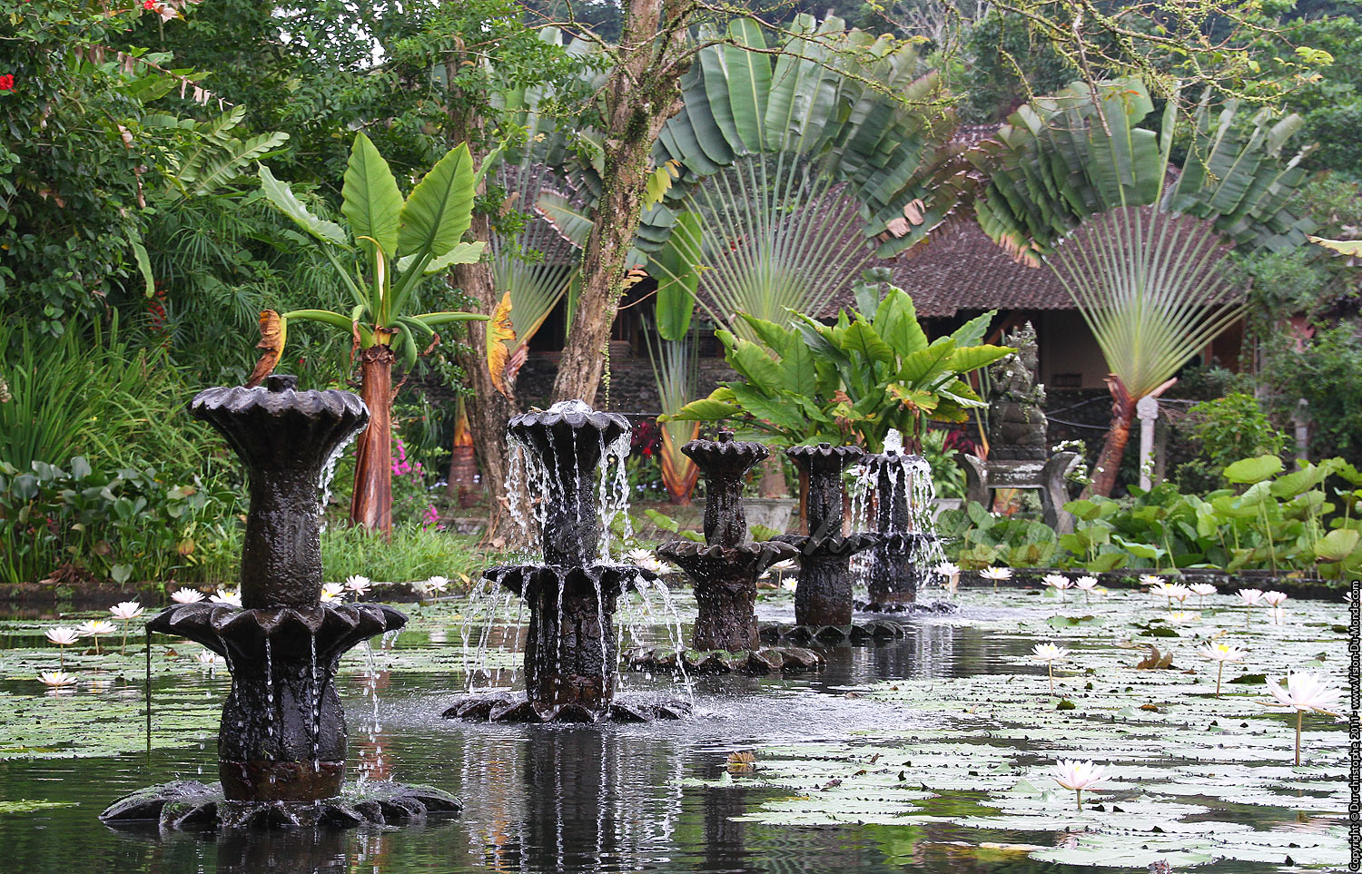 Palais aquatique Taman - Tirta Gangga - Bali 2011