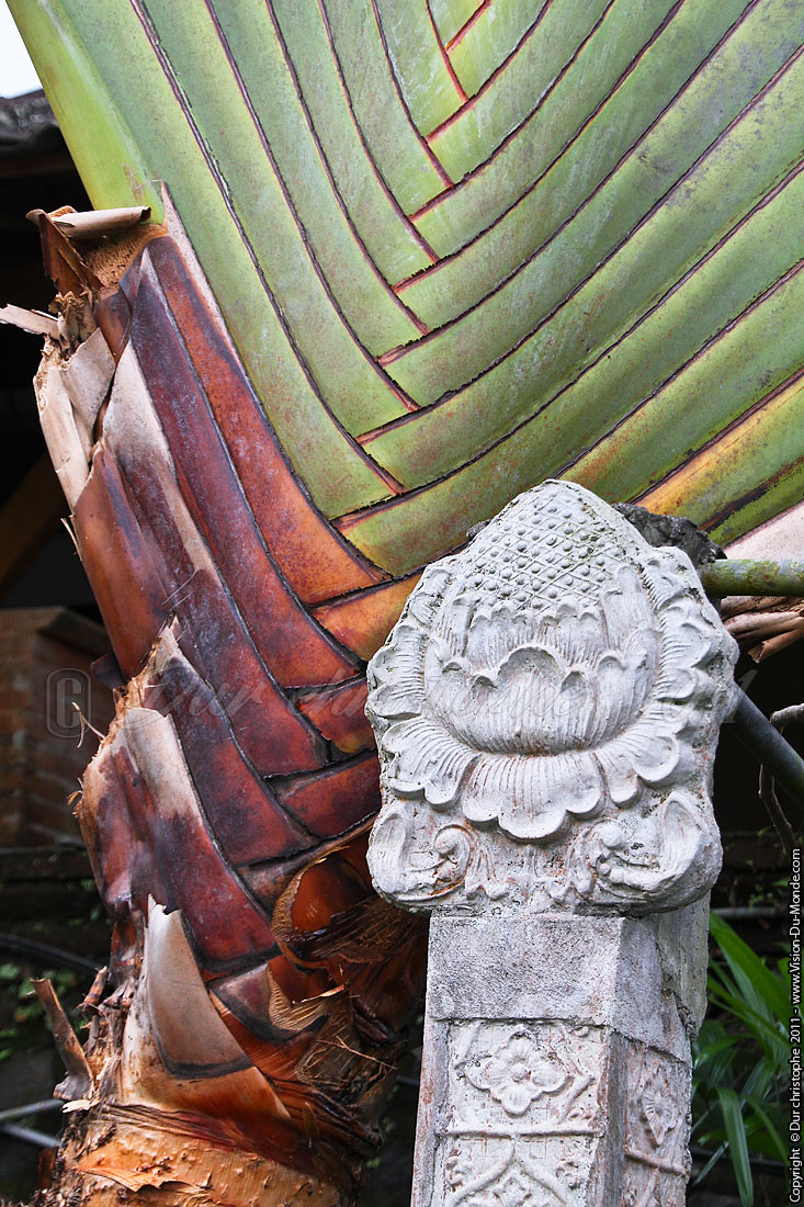 Palais aquatique Taman - Tirta Gangga - Bali 2011