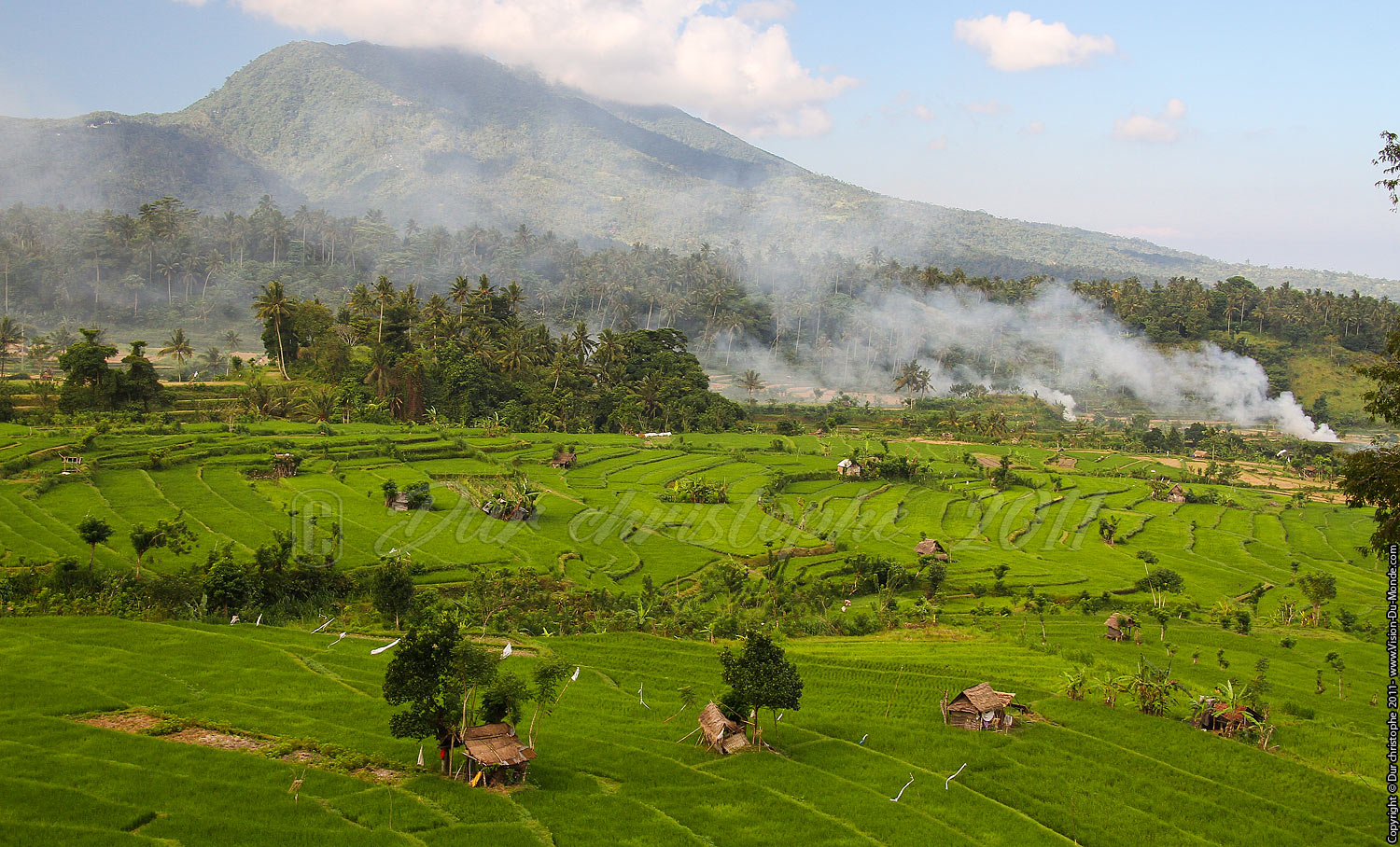 Rizières - Tirta Gangga - BALI 2011