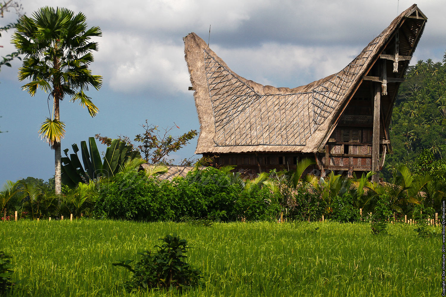 Maison traditionnelle du pays Toraja - Bali 2011