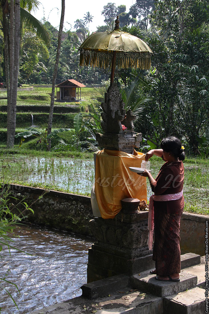 Offrandes - BALI 2011