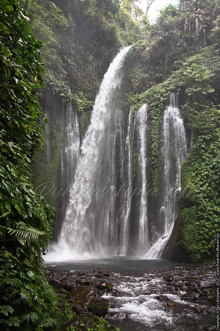 Cascade - Senaru - LOMBOK 2011