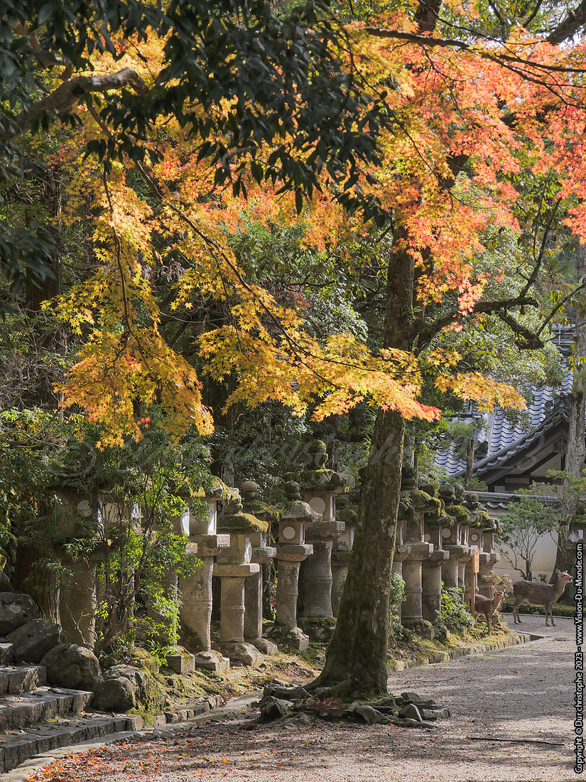 Nara