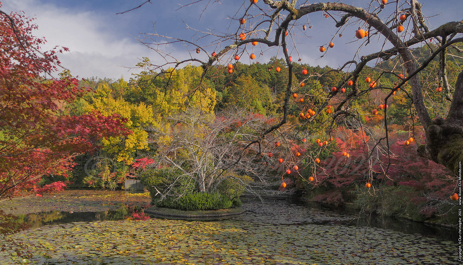Kyoto