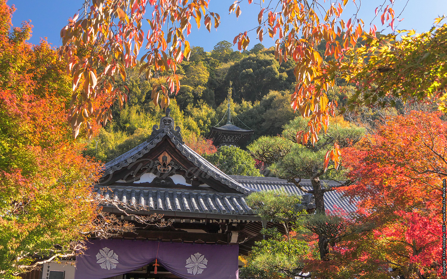 Kyoto