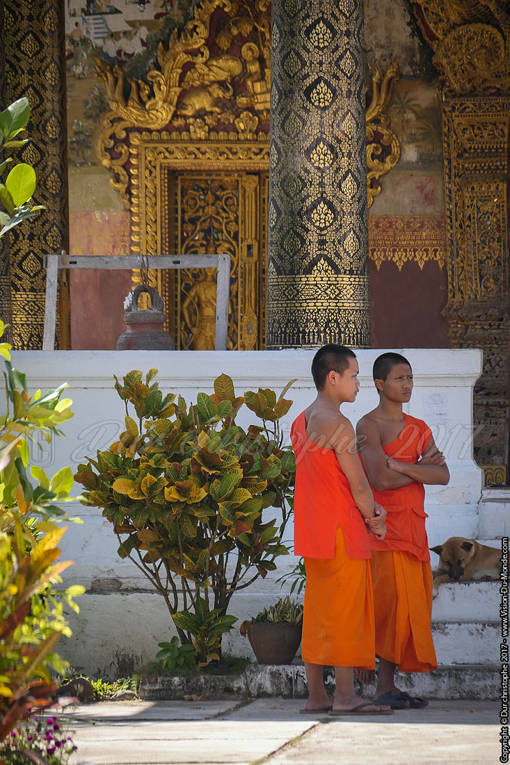 Luang Prabang   - Laos 2017
