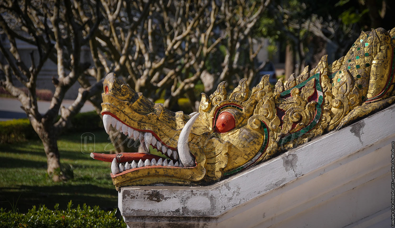 Temple -  Luang Prabang   - Laos 2017