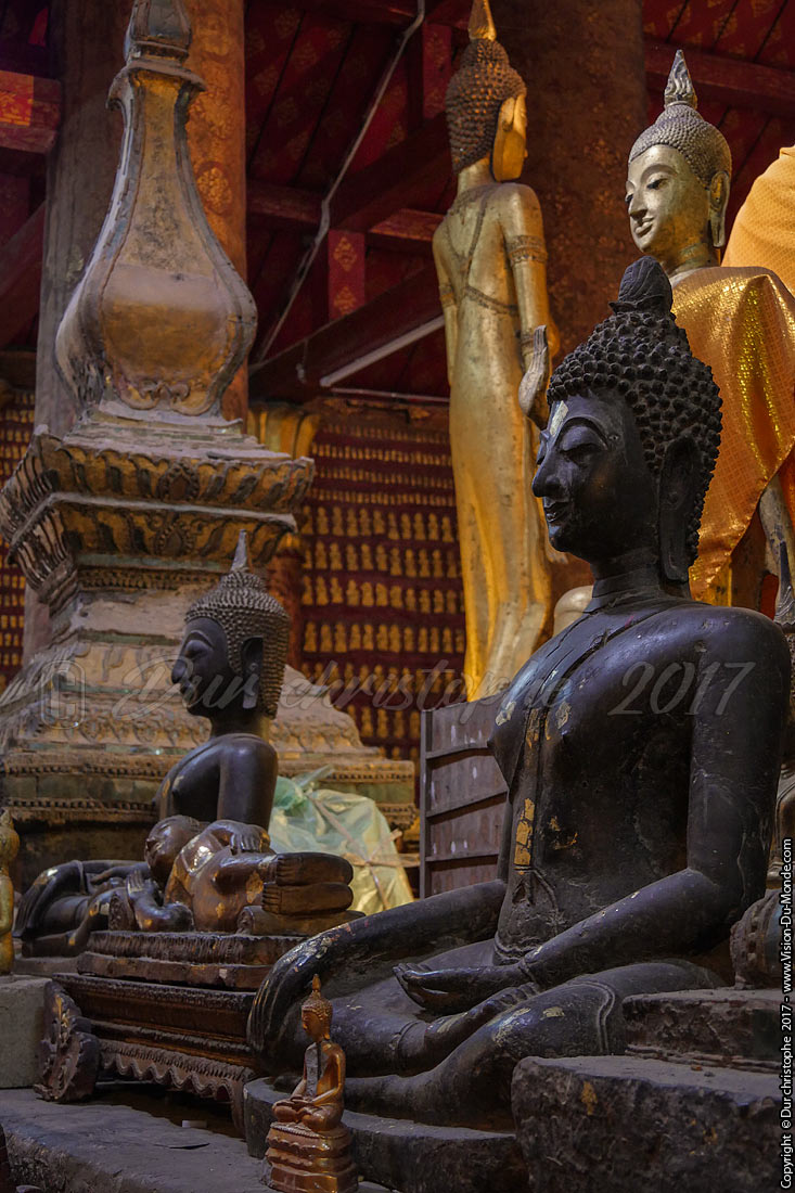Temple -  Luang Prabang   - Laos 2017
