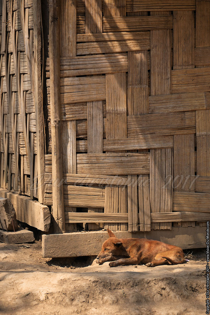 Trek village - environs Luang Prabang - 2017