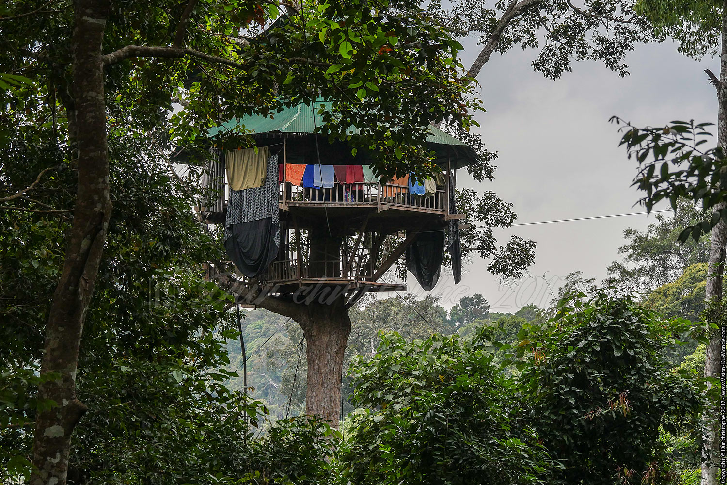 Gibbon Experience classic tour 3 jours - Laos 2017