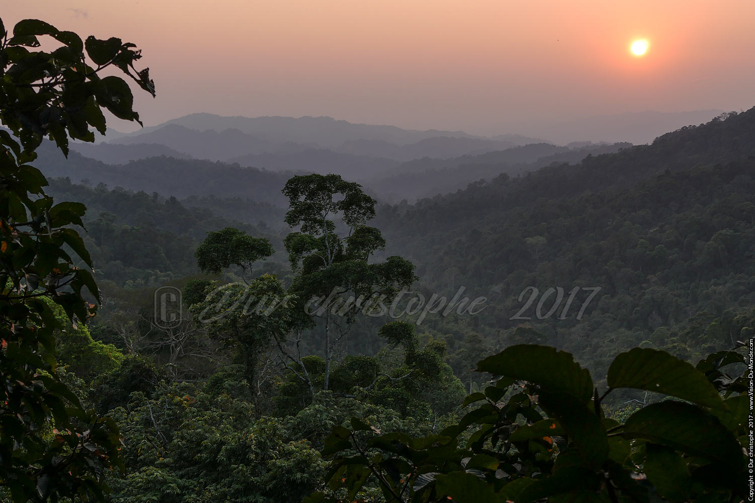 Gibbon Experience classic tour 3 jours - Laos 2017