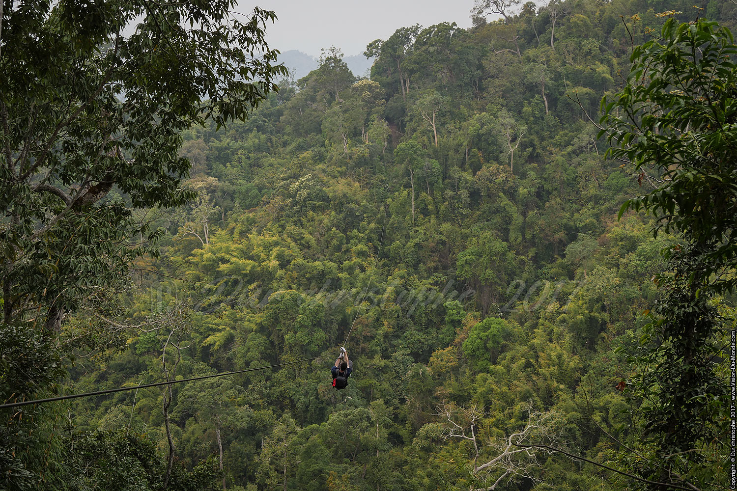 Gibbon Experience classic tour 3 jours - Laos 2017