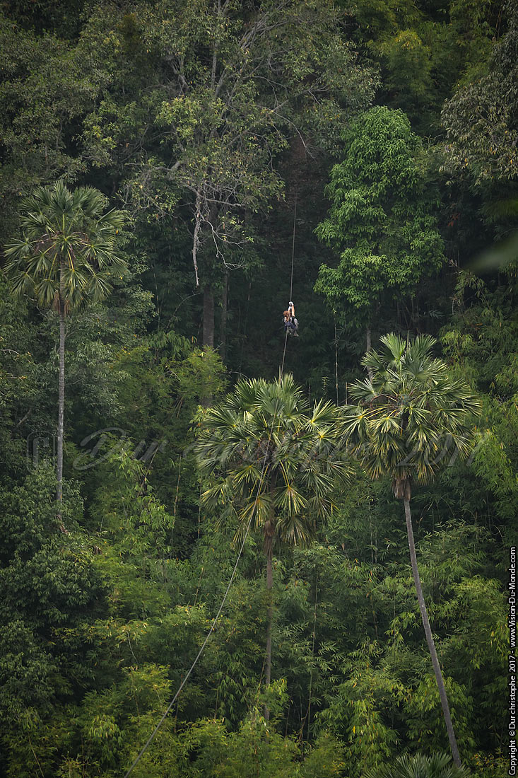 Gibbon Experience classic tour 3 jours - Laos 2017