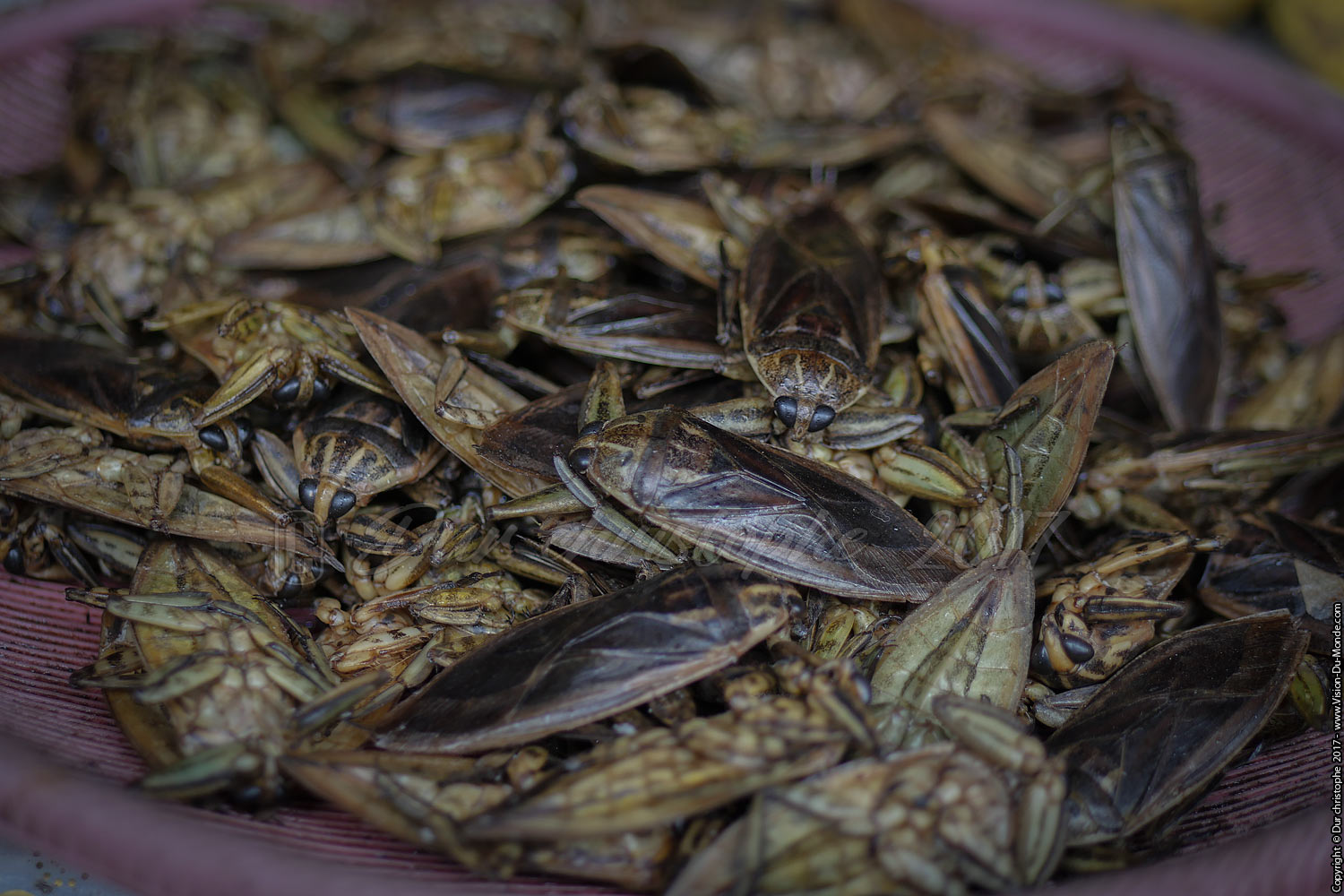 Marché Luang Nam Tha - Laos 2017