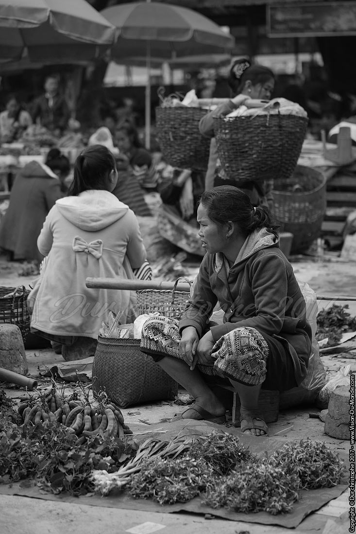 Marché Luang Nam Tha - Laos 2017