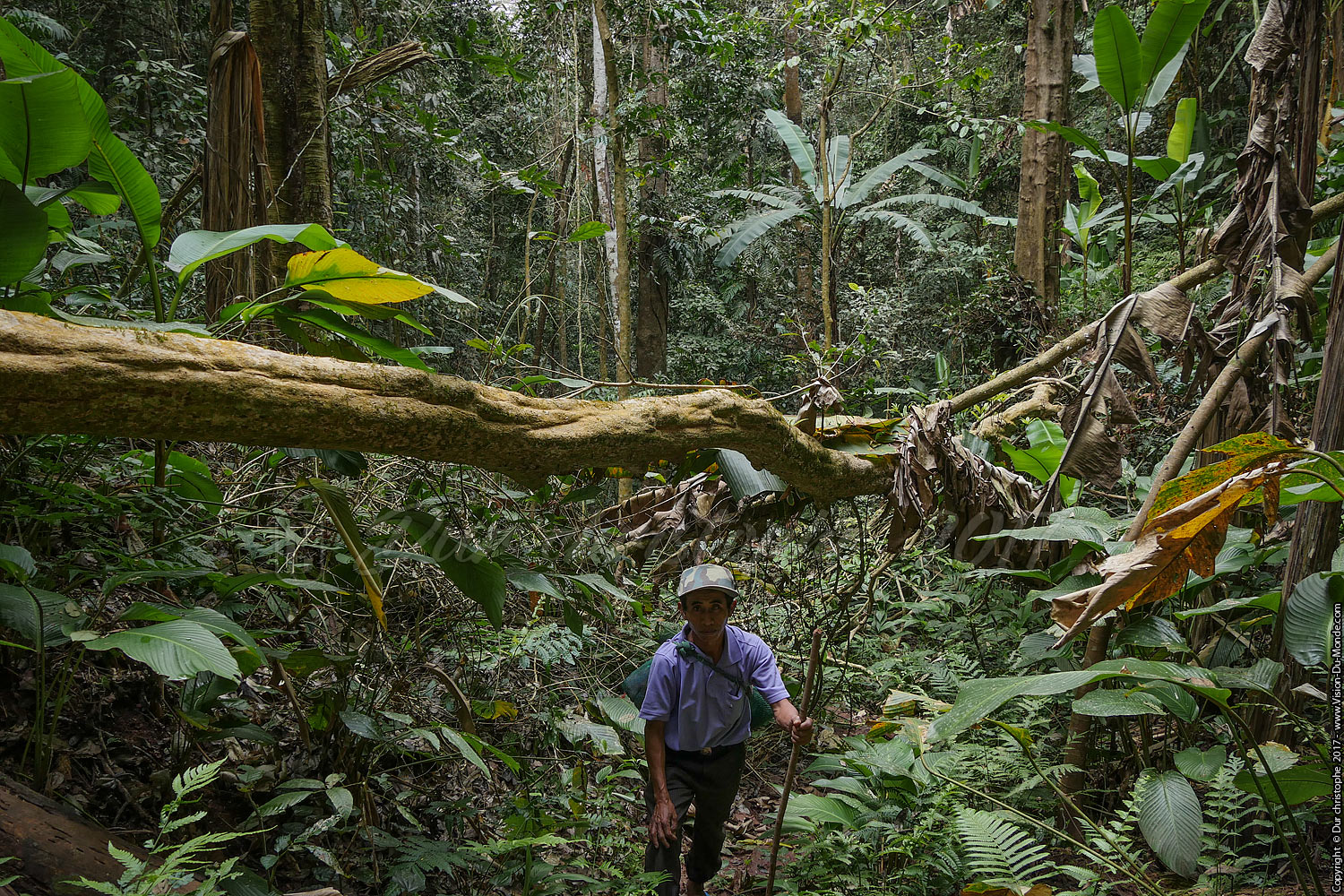 Trek dans la jungle de Namha national park - Laos 2017