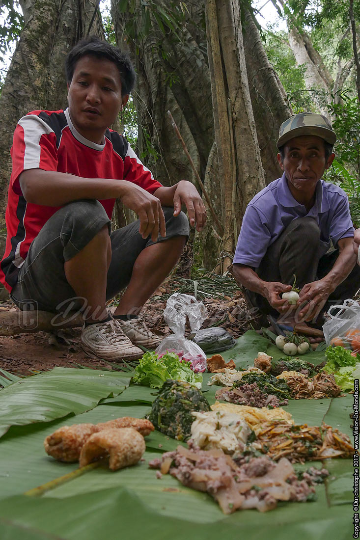 Trek dans la jungle de Namha national park - Laos 2017
