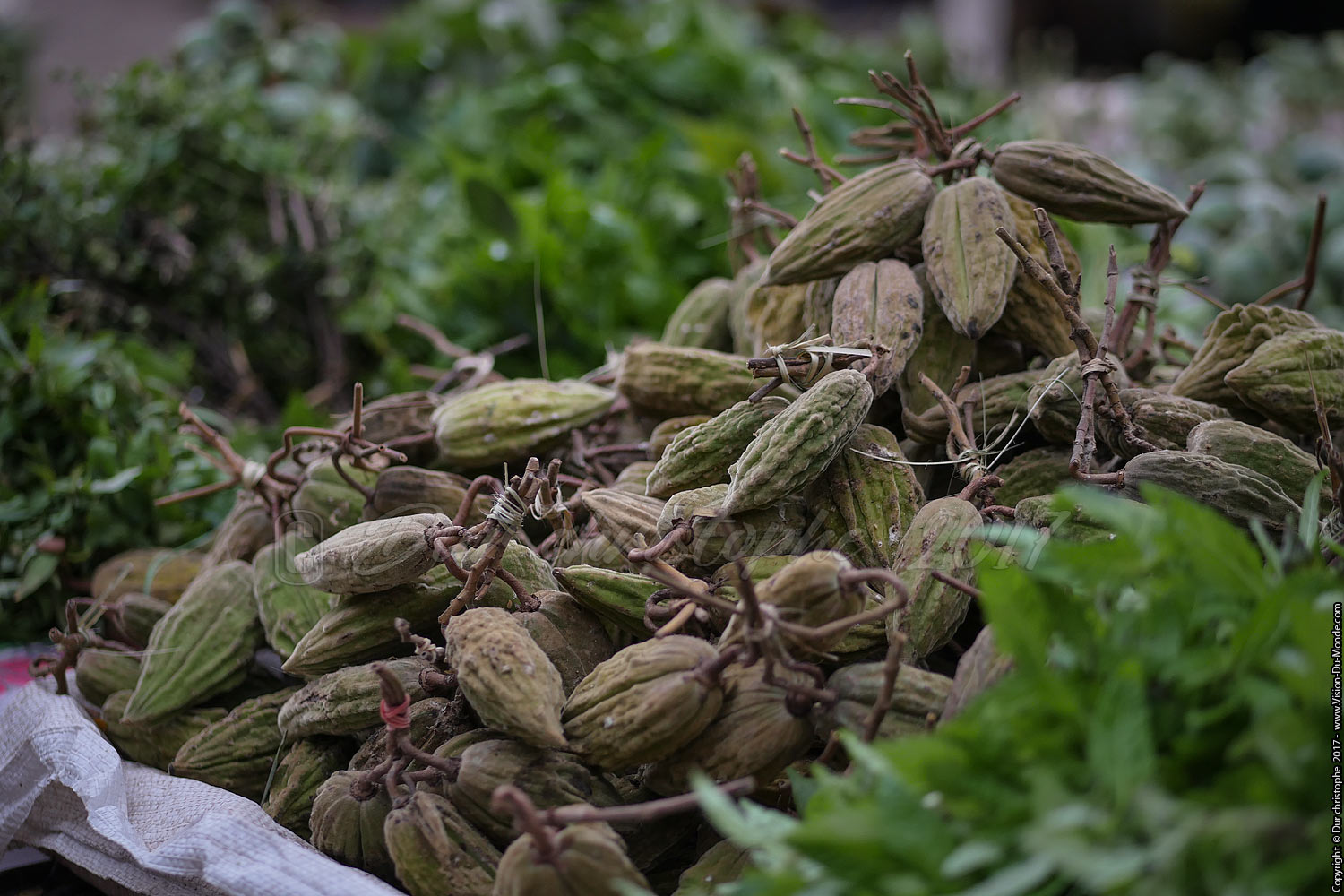 Marché ethnique - Laos 2017