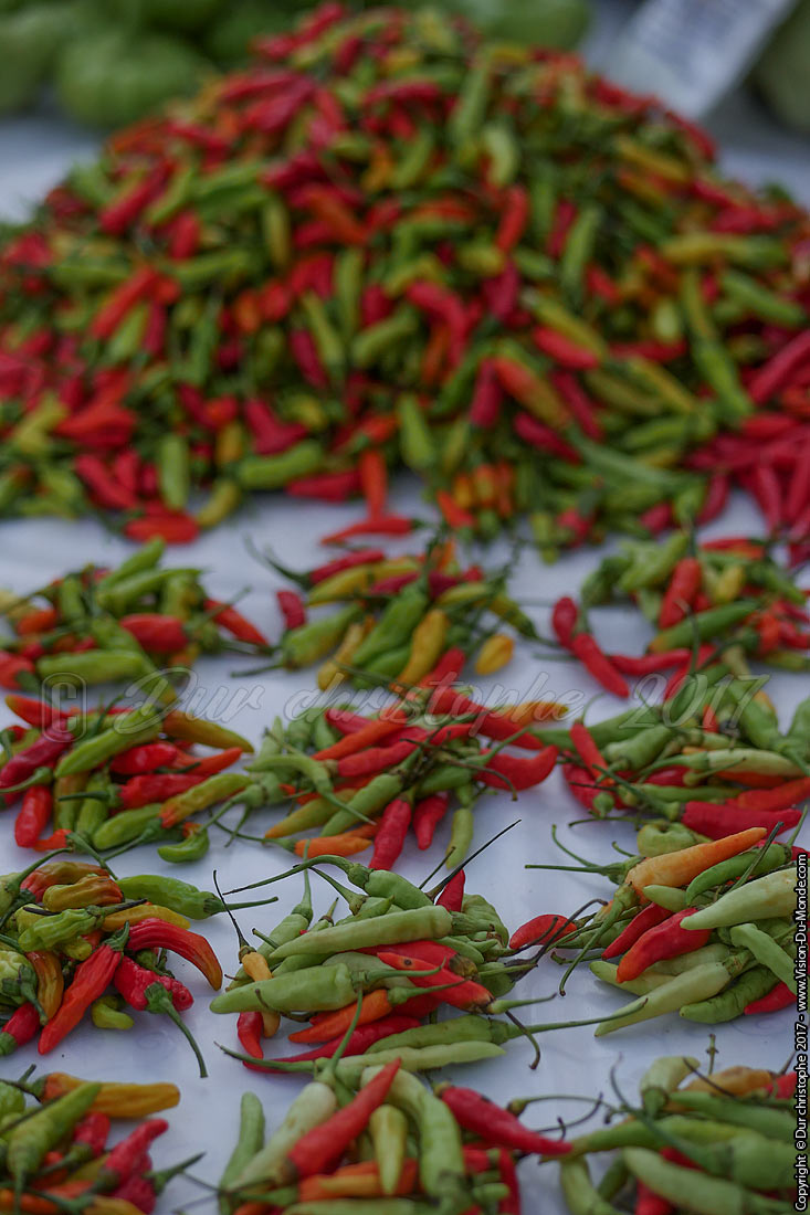 Marché ethnique - Laos 2017