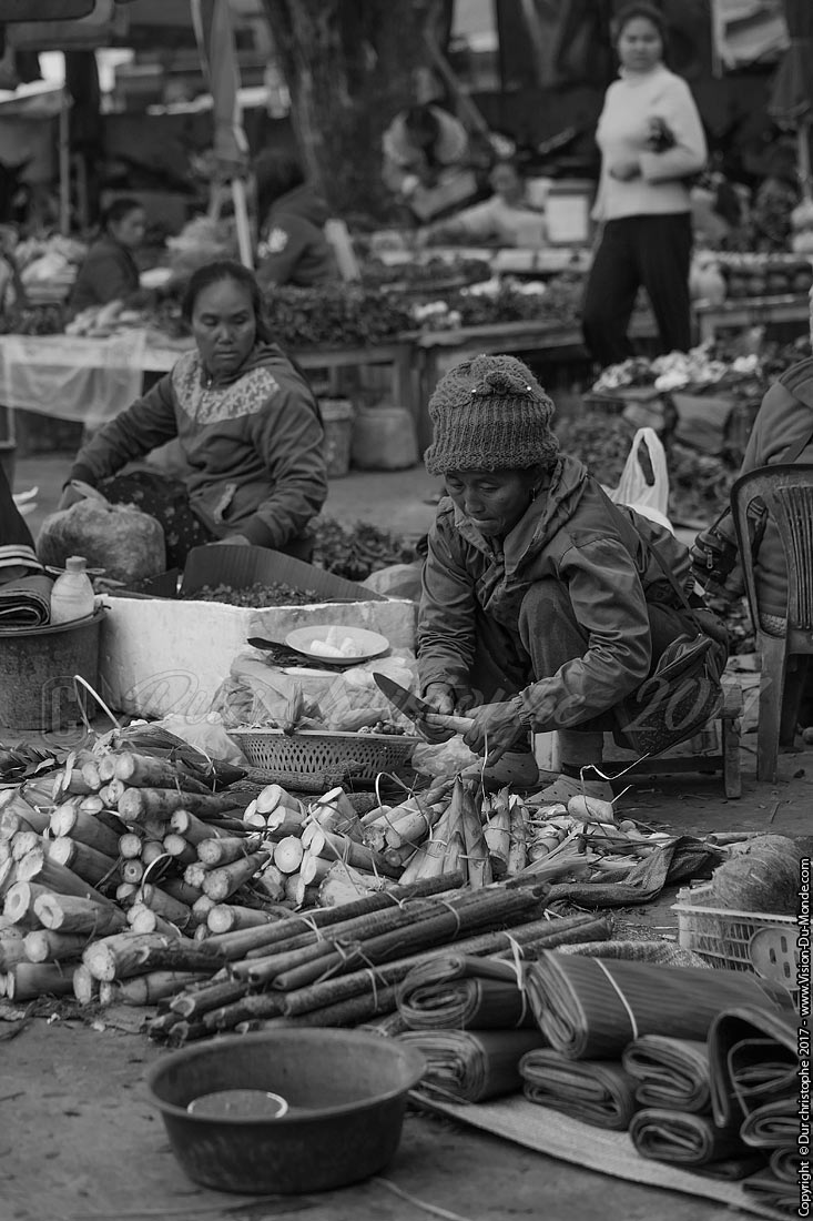Marché ethnique - Laos 2017