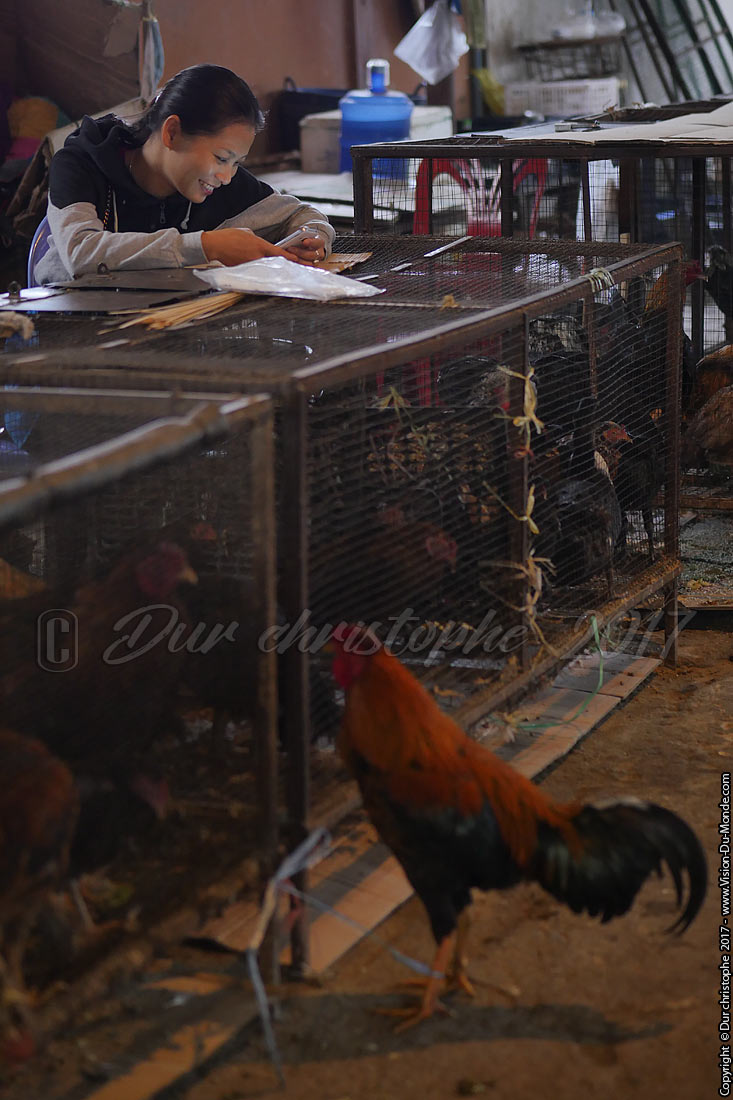 Marché ethnique - Laos 2017
