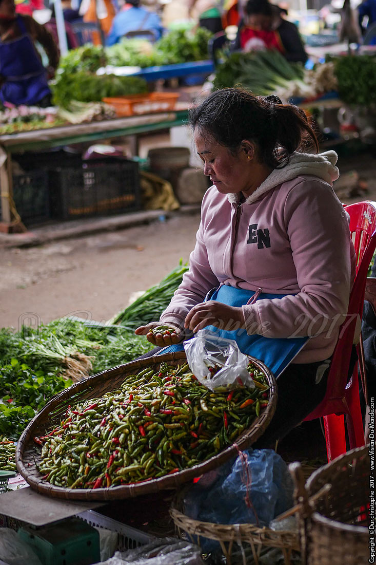 Marché ethnique - Laos 2017