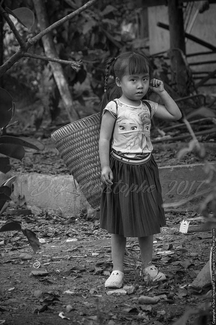 Village ethnique - Laos 2017