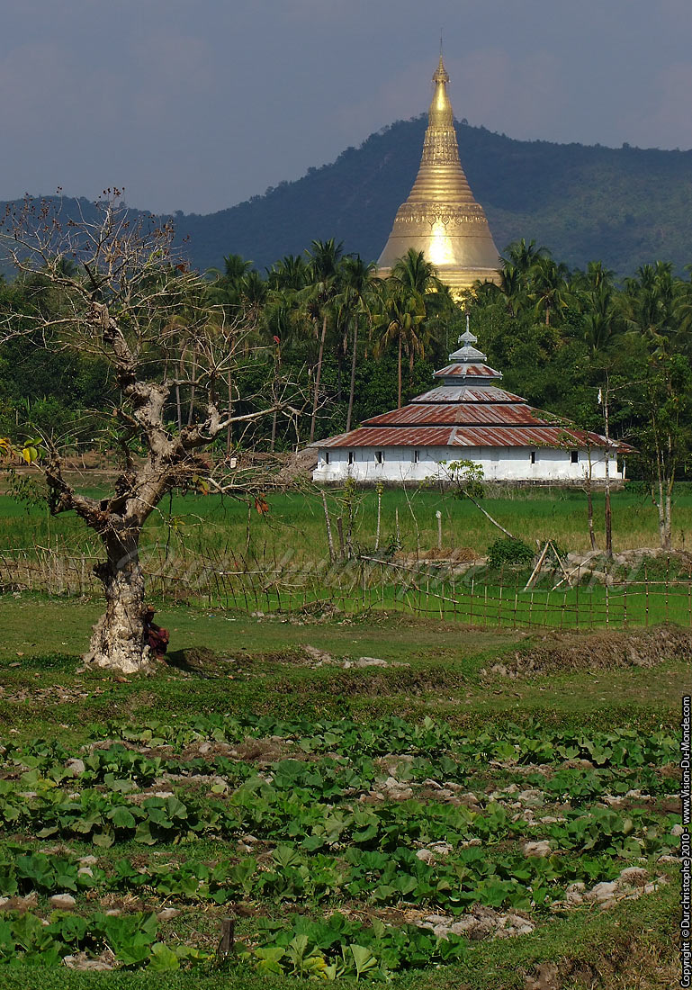 Le chedi dans la campagne - Sur la route 2010
