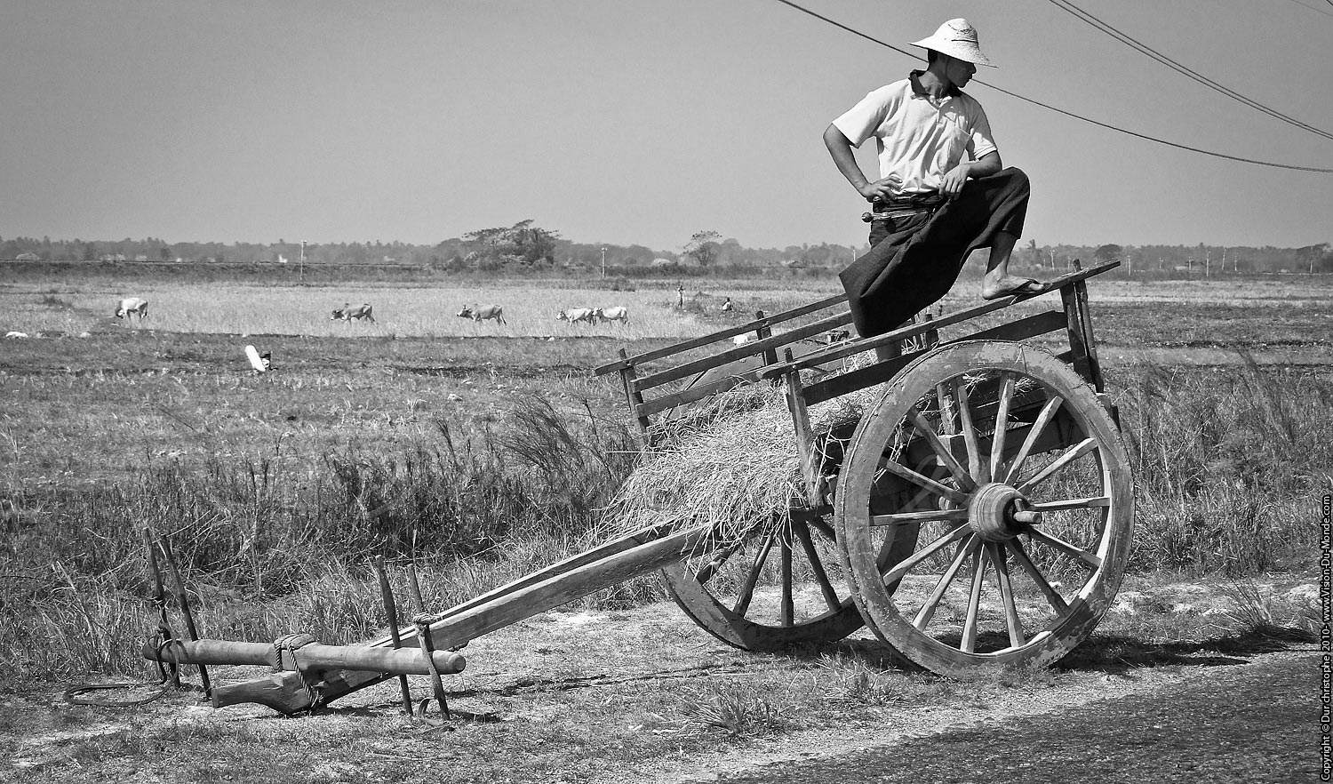 le samourai - Sur la route 2010