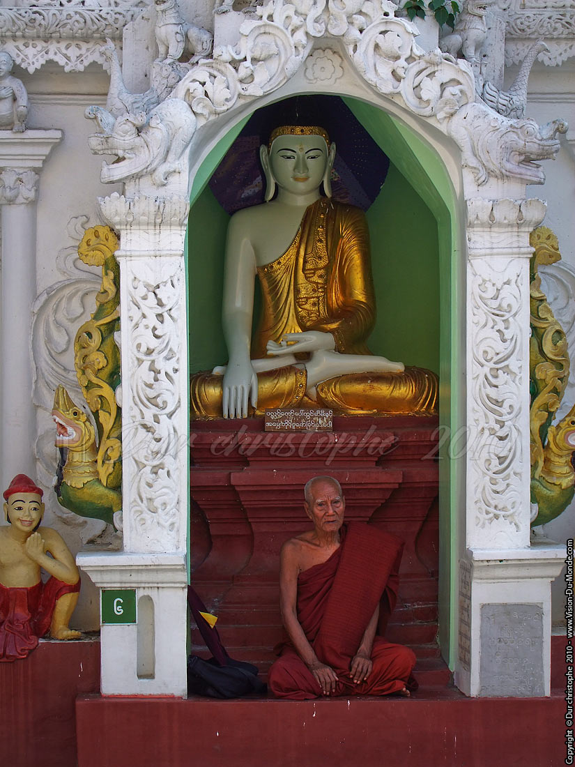 Le vieux moine - Paya Shwedagon - Yangon 2010
