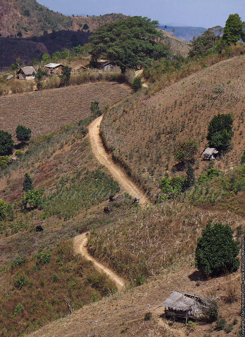 Le chemin - Environs de Kalaw 2010