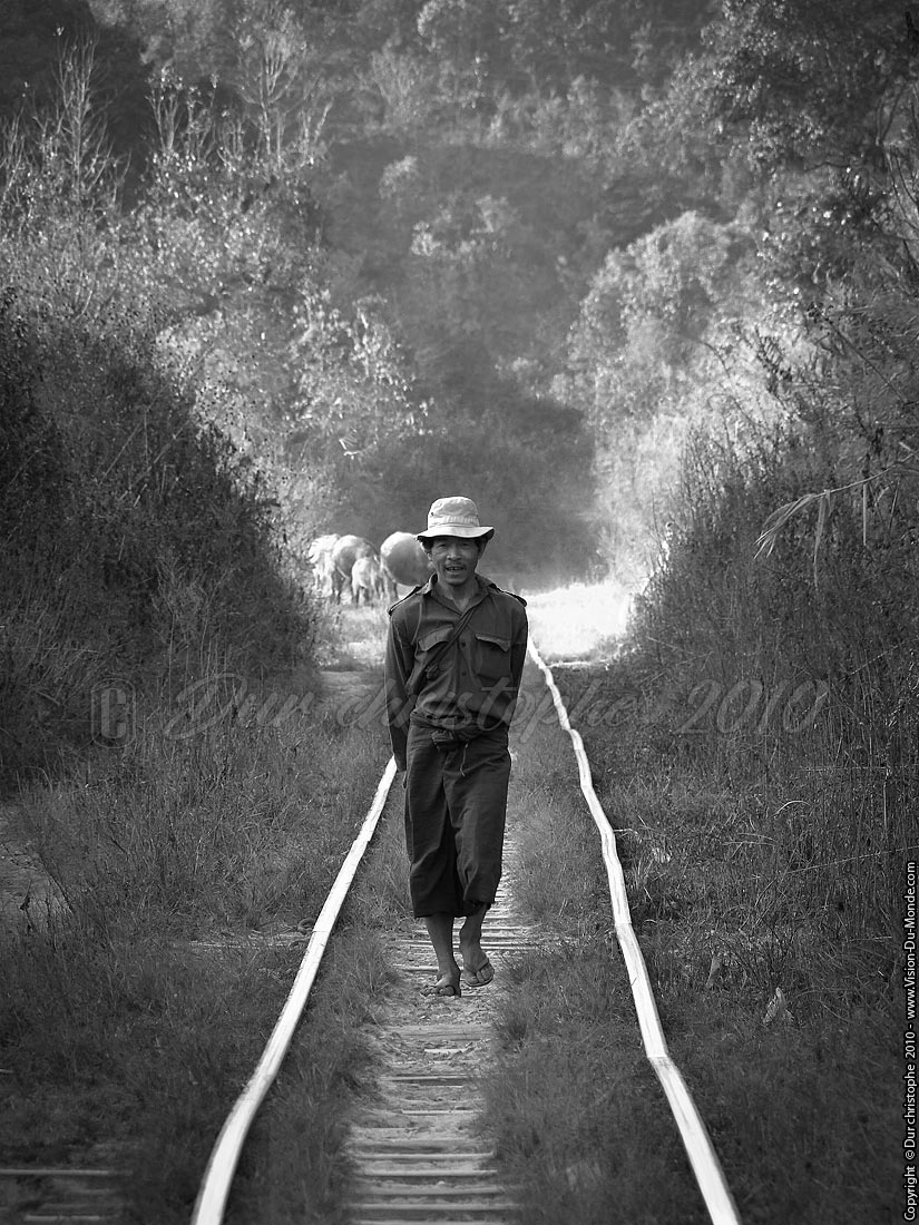 L'homme des rails - Environs de Kalaw 2010