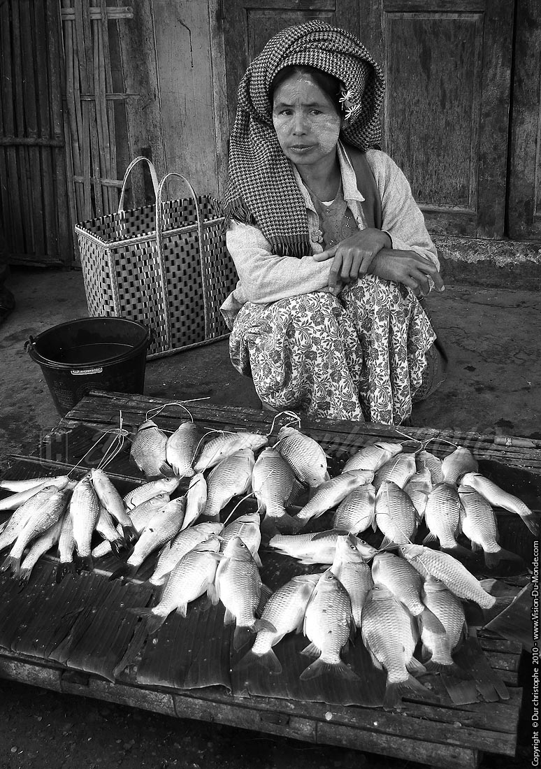 Vendeuse de poissons - Marché Central de Nyaungshwe - Lac Inle 2010