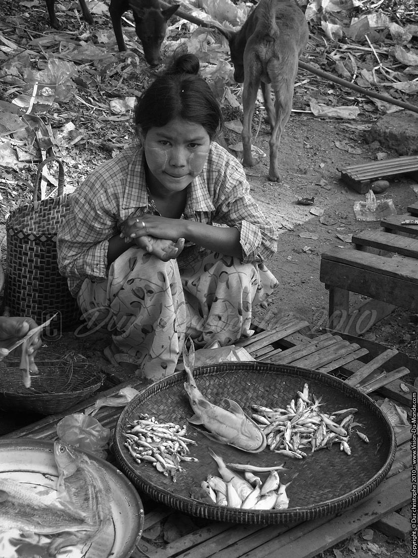 La petite vendeuse de poissons - Bagan 2010