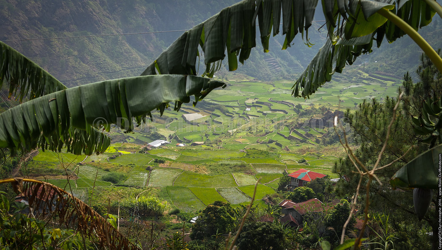 Sagada - Ile de Luzon - 2016