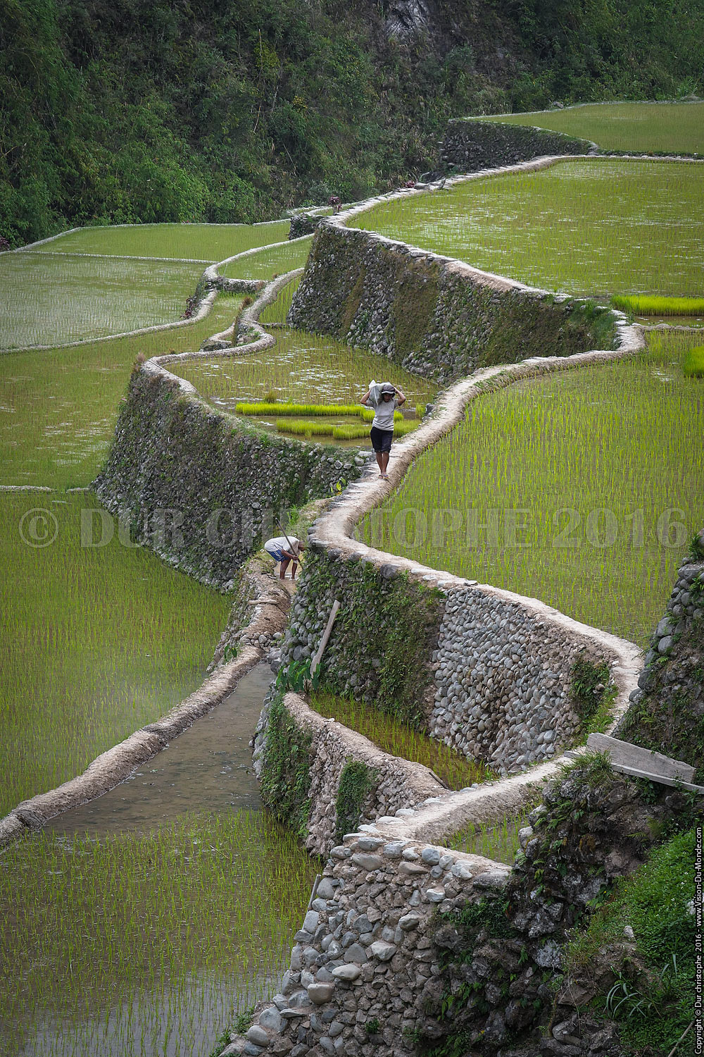 Banaue - Ile de Luzon - 2016