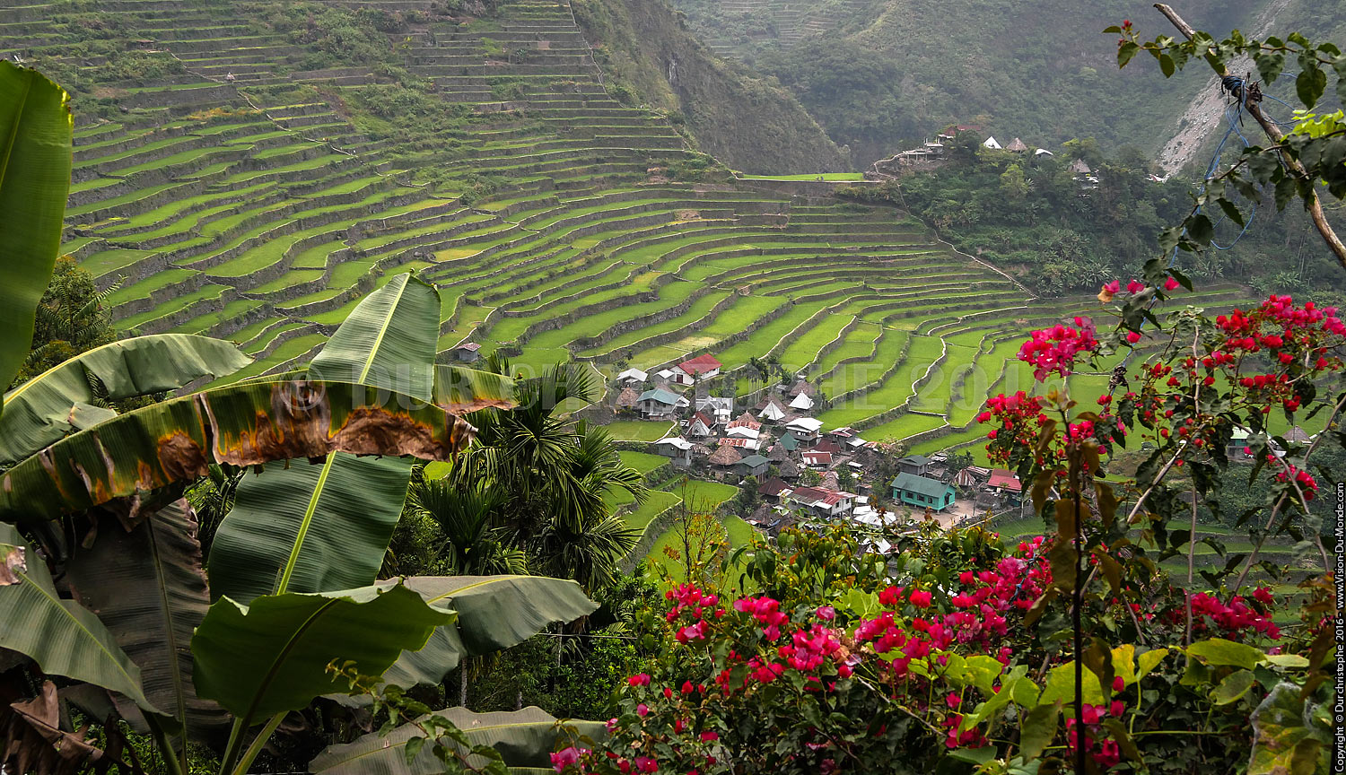 Banaue - Ile de Luzon - 2016