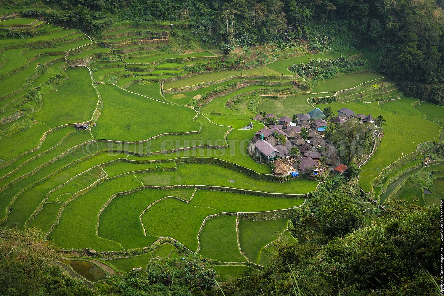 Banaue - Ile de Luzon - 2016