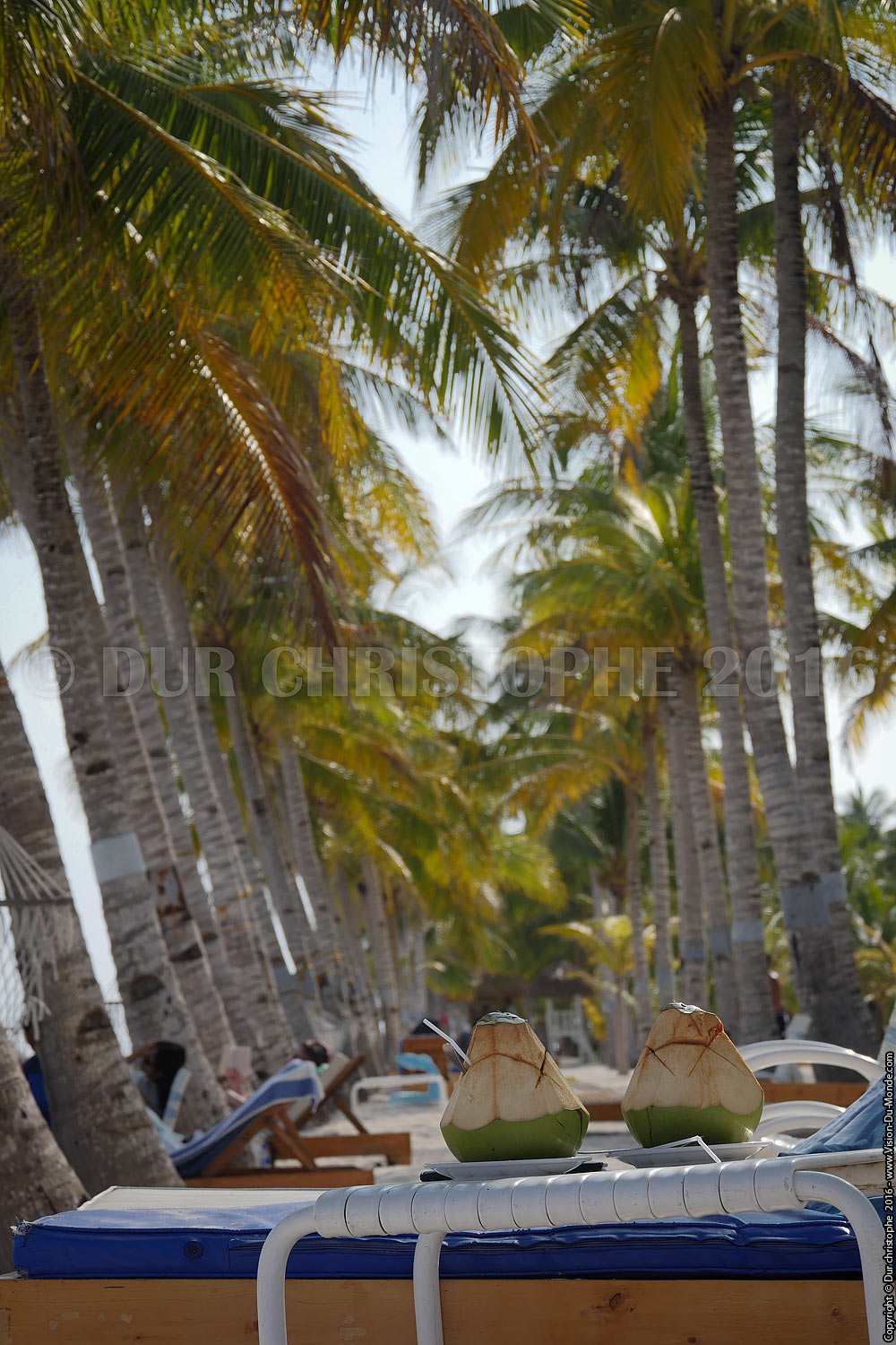 Cocktails - Ile de Bohol - 2016