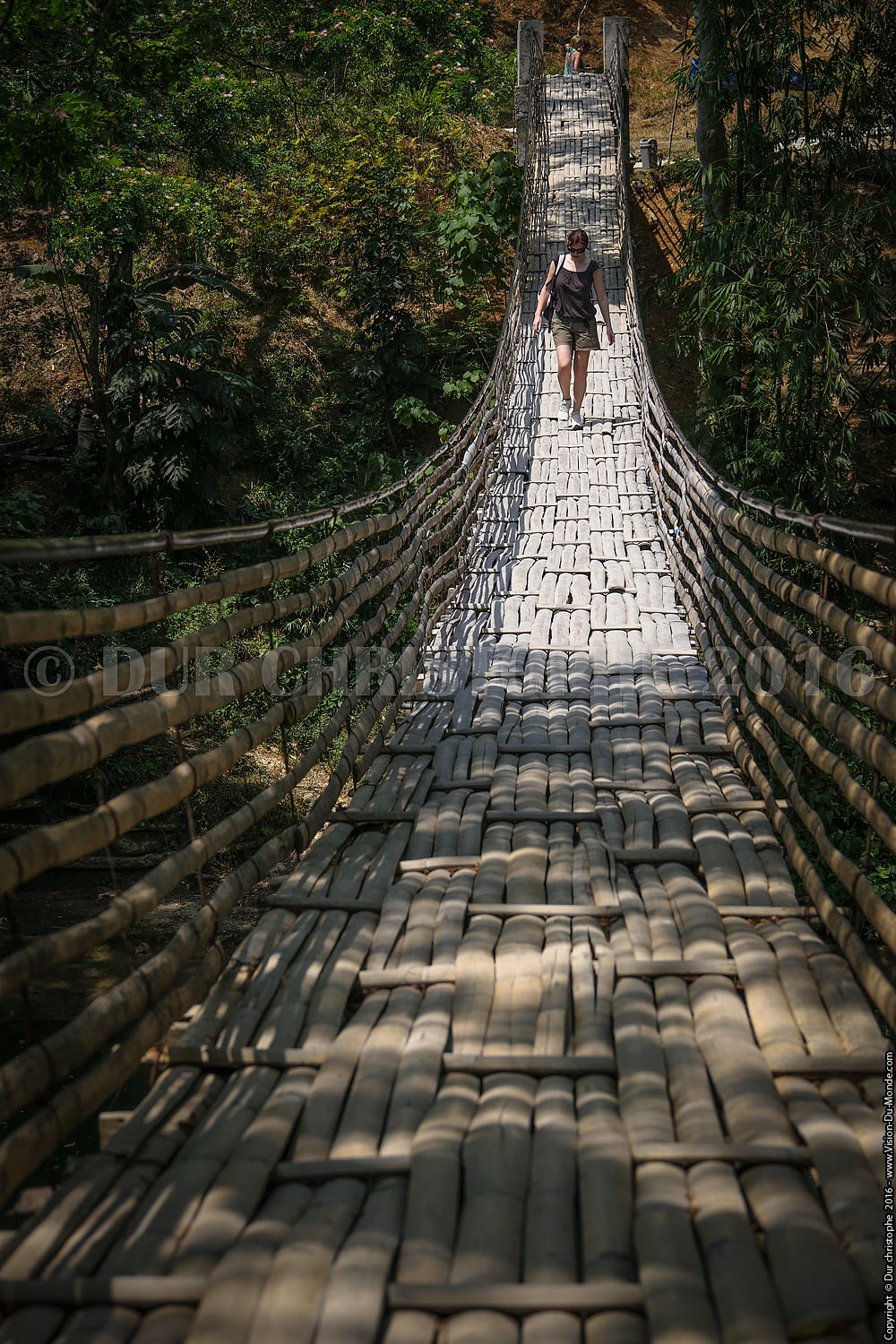 Le pont de bambous  - Ile de Bohol - 2016