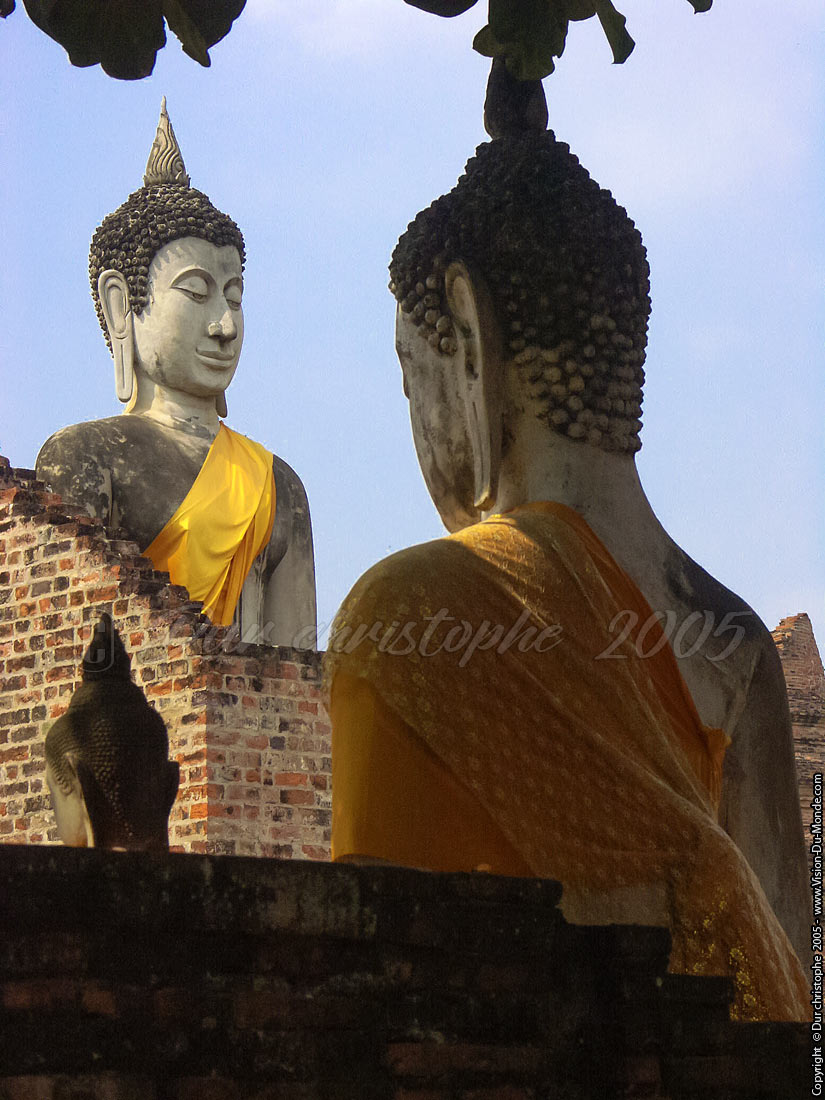 Bouddhas - Ayuttaya 2005