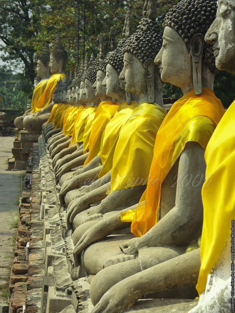 Bouddhas - Ayuttaya 2005
