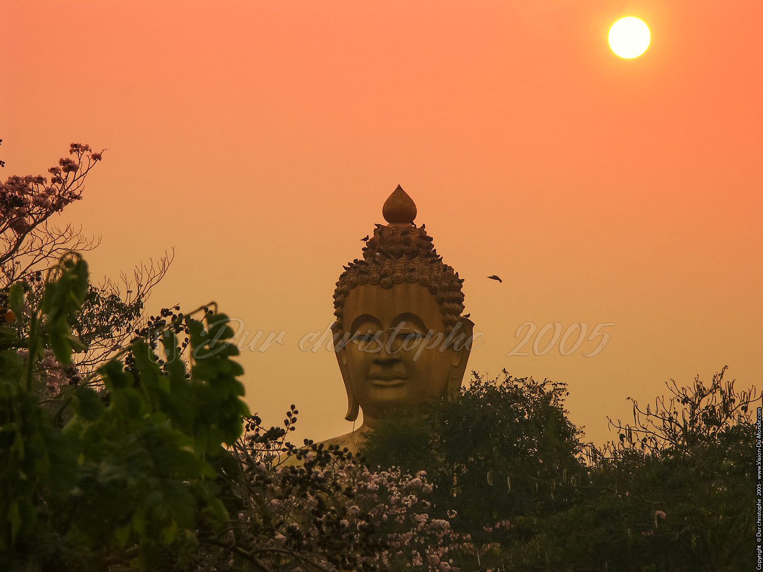 Bouddha géant - Ayuttaya 2005