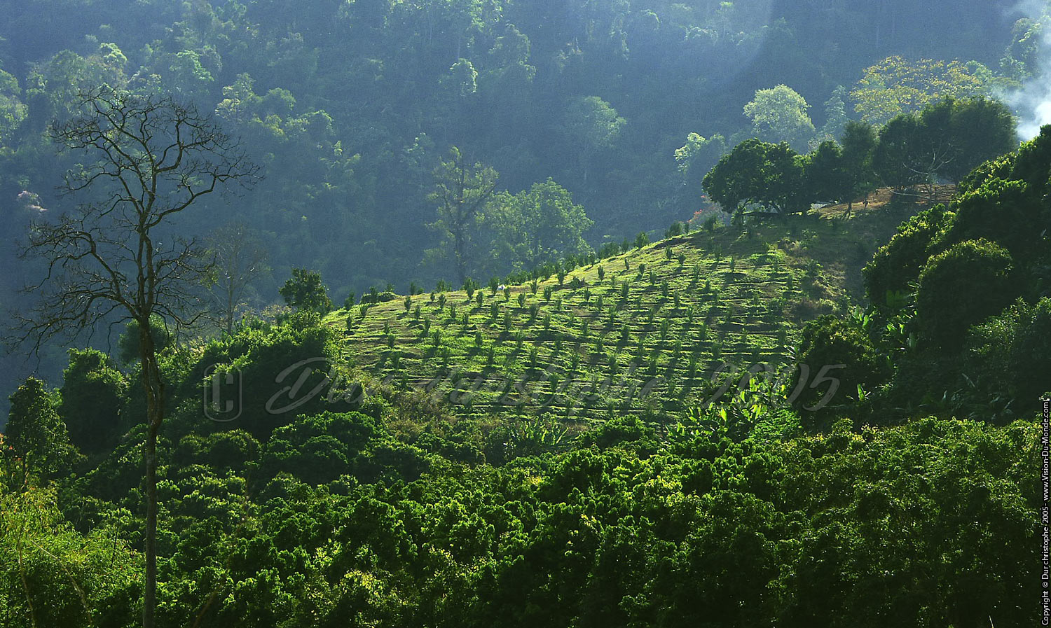 Chiang Mai - 2005