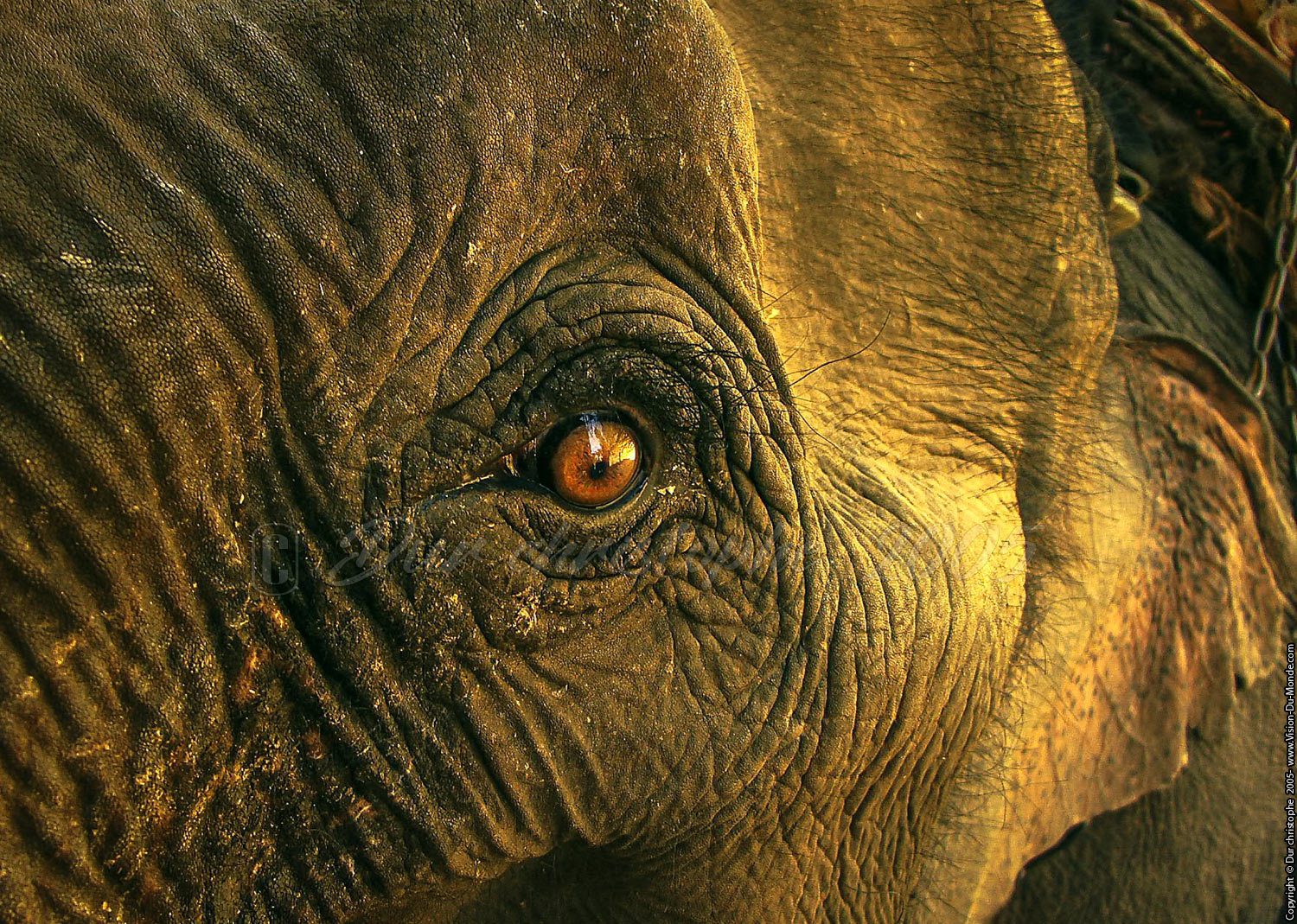 Chiang Mai - 2005